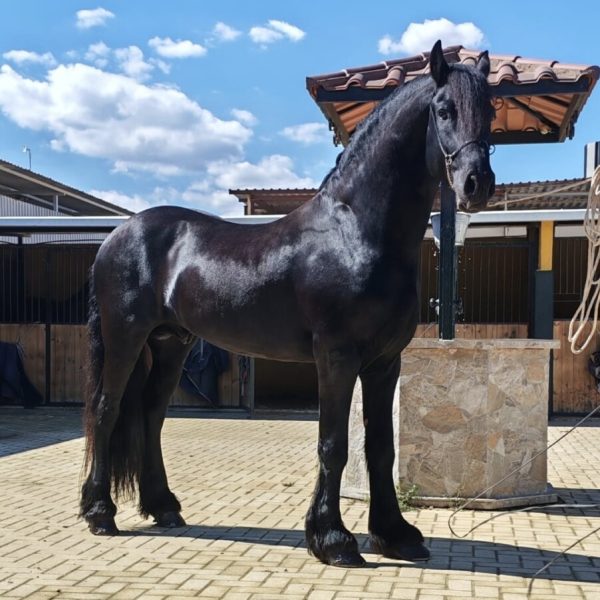 Screenshot_20260329_220654_WhatsApp