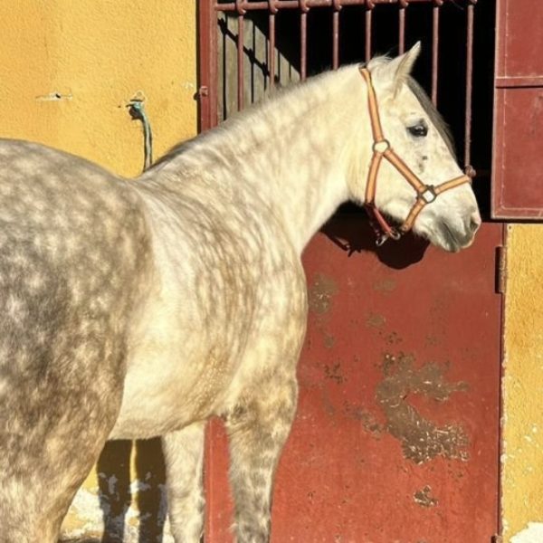 Screenshot_20260329_221003_WhatsApp