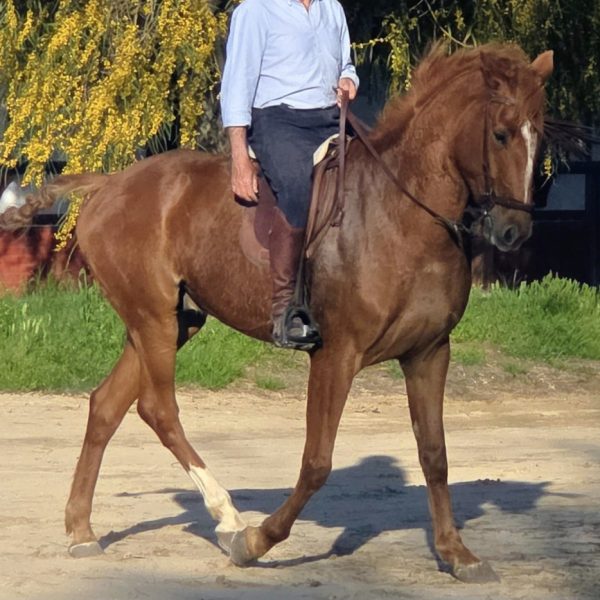 Screenshot_20260329_221519_WhatsApp