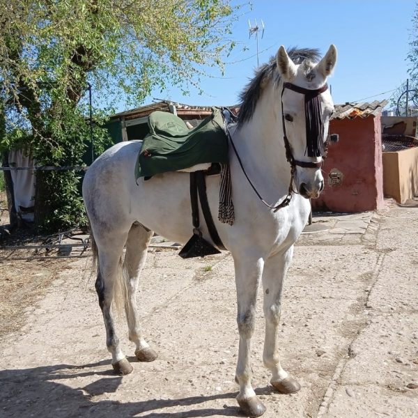 Screenshot_20260329_222128_WhatsApp