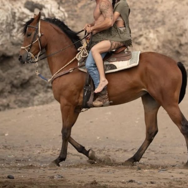 Screenshot_20260329_222525_WhatsApp