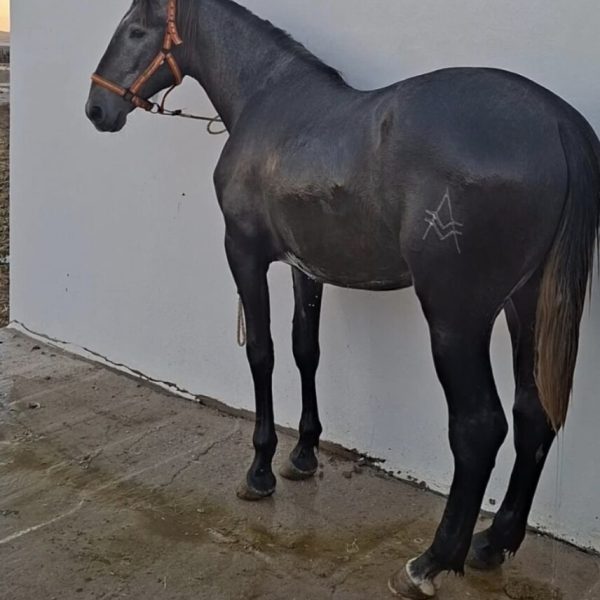 Screenshot_20260329_222846_WhatsApp