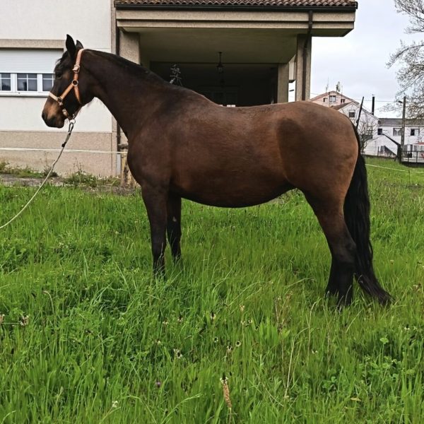 Screenshot_20260331_190213_WhatsApp