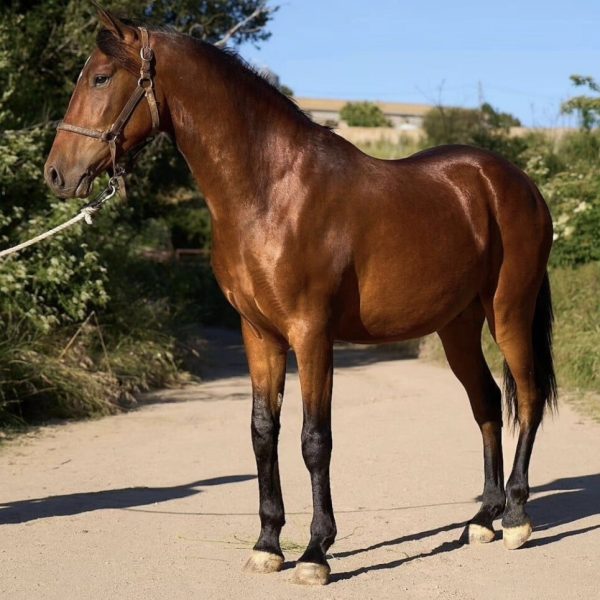 Screenshot_20260331_193344_WhatsApp