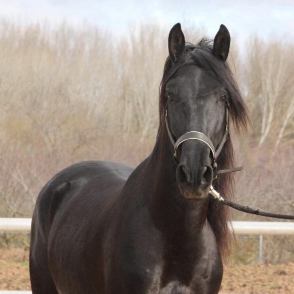 Screenshot_20260331_210313_WhatsApp