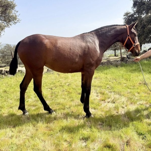 Screenshot_20260411_122802_WhatsApp