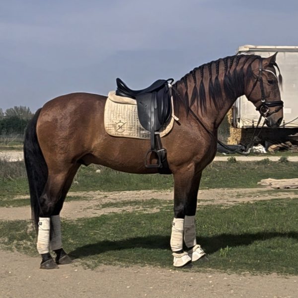 Screenshot_20260411_180139_WhatsApp