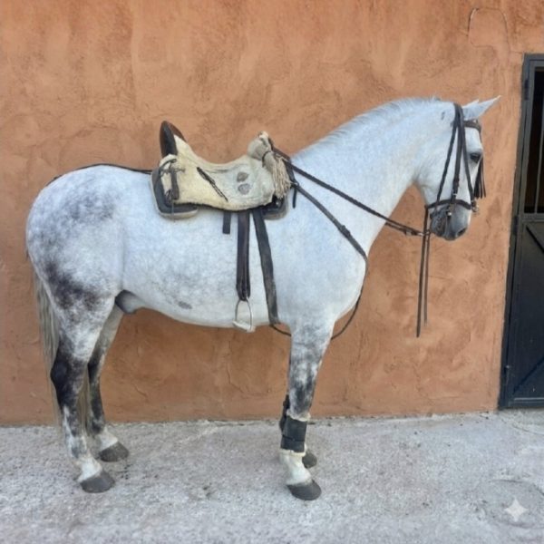 Screenshot_20260412_122822_Canva