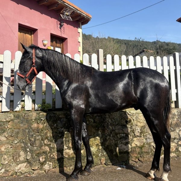 Screenshot_20260412_191032_WhatsApp