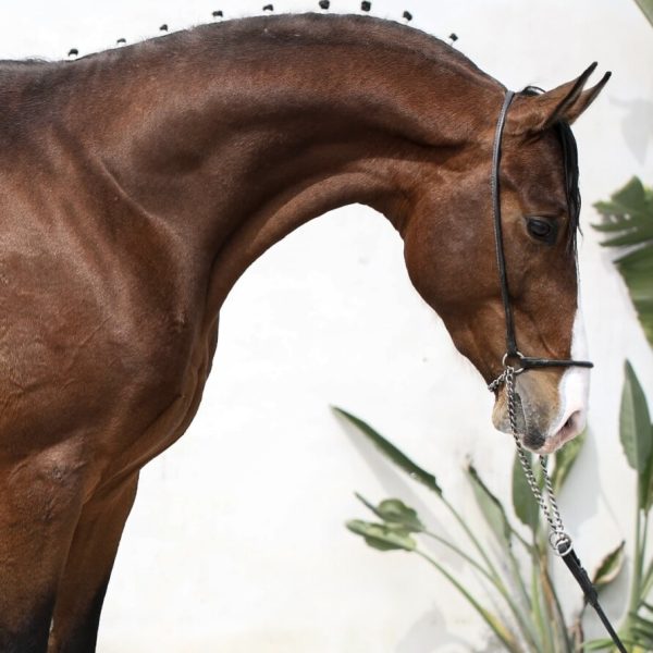 Screenshot_20260413_182102_WhatsApp (1)