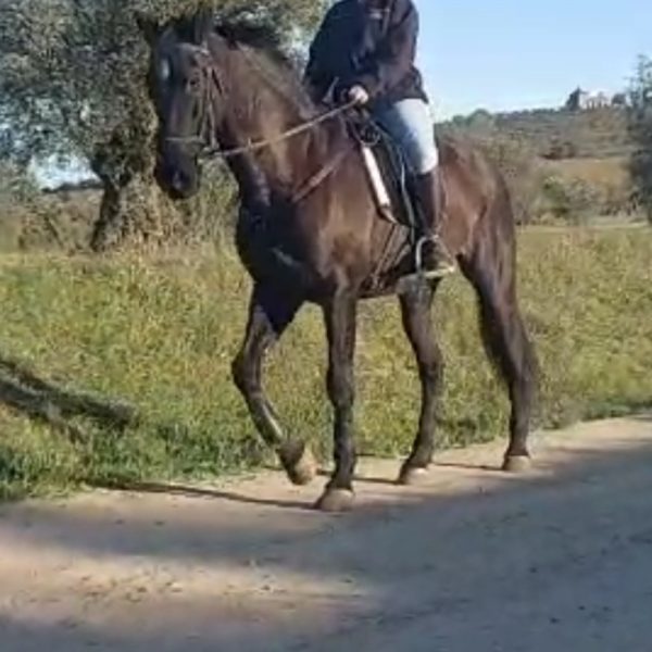 Screenshot_20260413_194430_Gallery