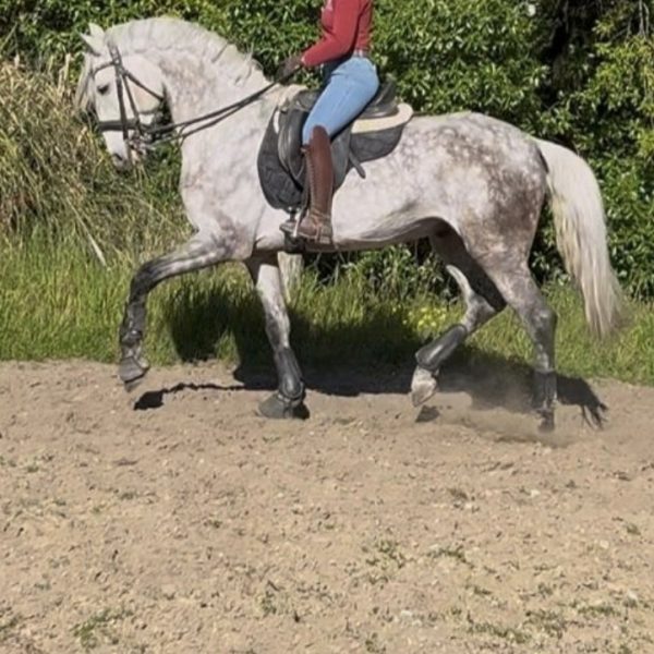 Screenshot_20260415_192123_WhatsApp