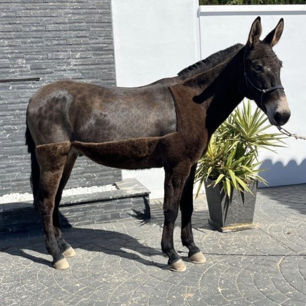 Screenshot_20260421_165623_WhatsApp