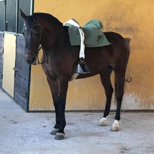 Screenshot_20260422_061738_WhatsApp