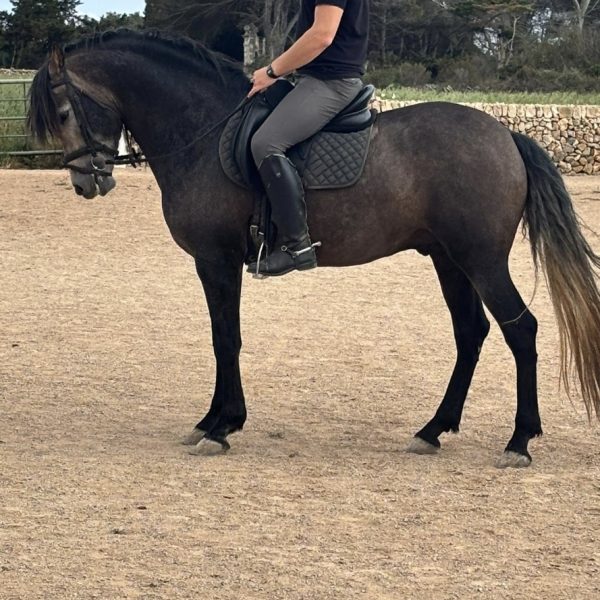 Screenshot_20260423_202209_WhatsApp