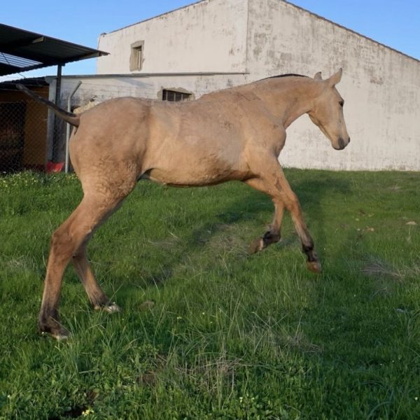 Screenshot_20260425_124927_WhatsApp