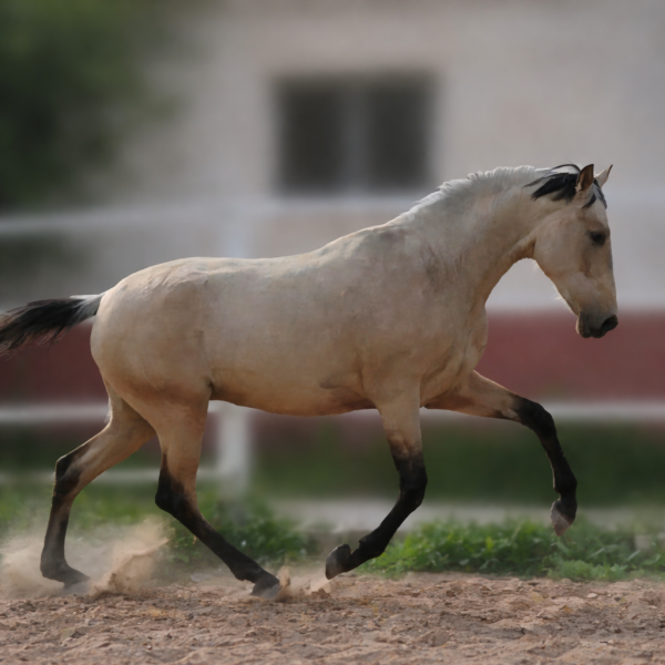 file_000000003f1471fd851913ab7ee644c9