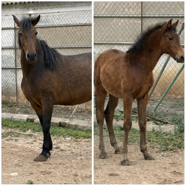 file_000000004cc87243938ef61912ce44be