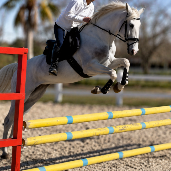 file_000000005be471fd9d34d4e53213fe0e